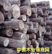 �����ֈ�(ch��ng)ֱ�N�M(j��n)�ڰ���ԭľ�����ɰ��b���������