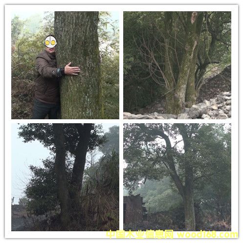 �������Ԕ��(x��)��B