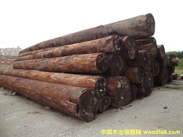 ���������Kľ��Ԕ��(x��)��B