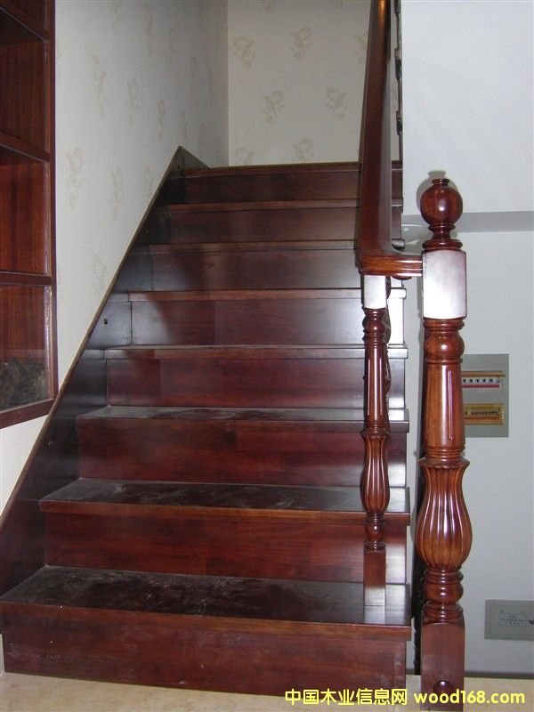 ����ӯ����14