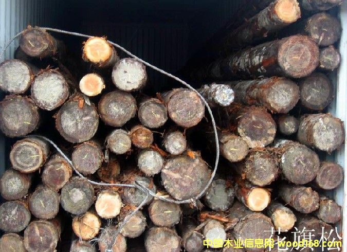 ԭľ�M(j��n)�ڵ�Ԕ��(x��)��B