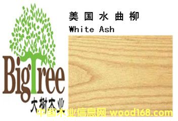 ����ˮ������Ԕ��(x��)��B