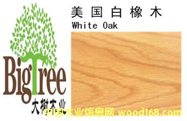 ��������ľ��Ԕ��(x��)��B