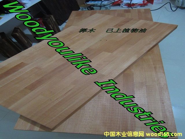 歐洲櫸木的詳細(xì)介紹