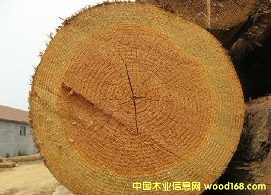 �M(j��n)�ڻ����ɵ�Ԕ��(x��)��B