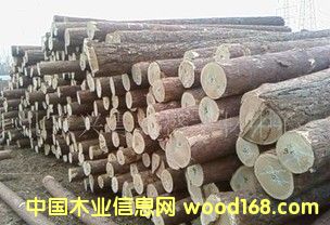 ��(gu��)�a(ch��n)�t��ԭľ