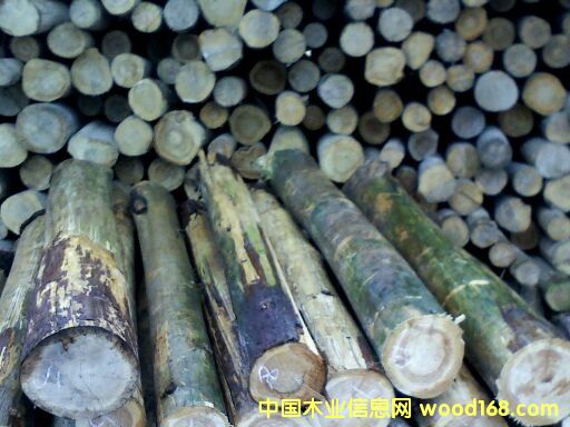 ��ɼ�Aľ��Ԕ��(x��)��B