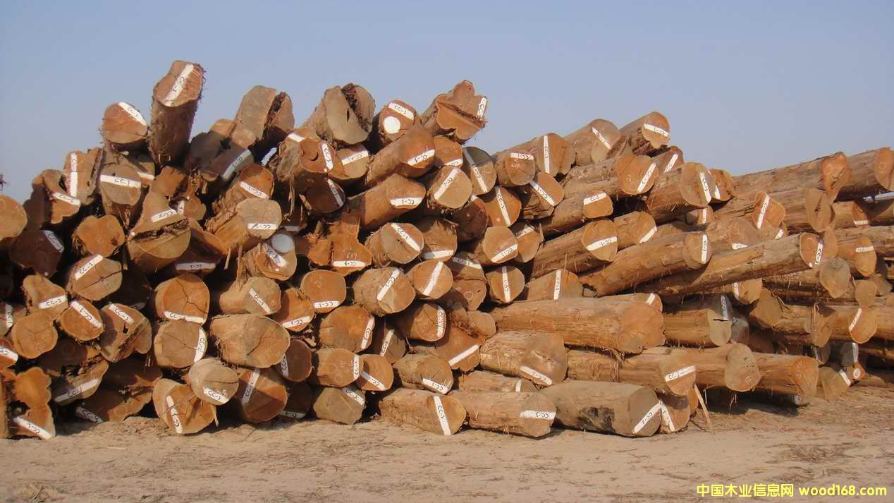 �����ϵ���ľԭľ����ľԭľ��Ԕ����B