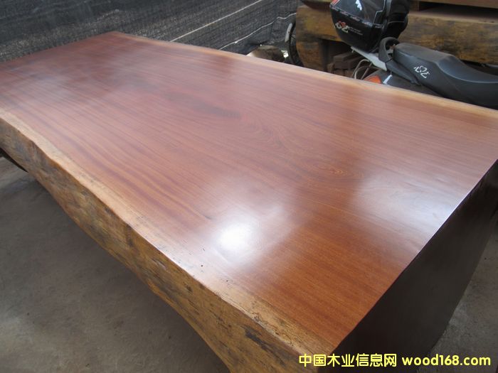 ����ɳ�������