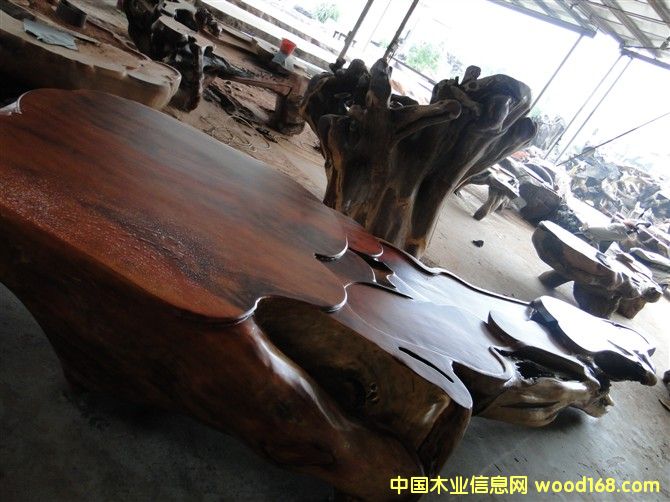 �t��ɼ�L(zh��ng)4800