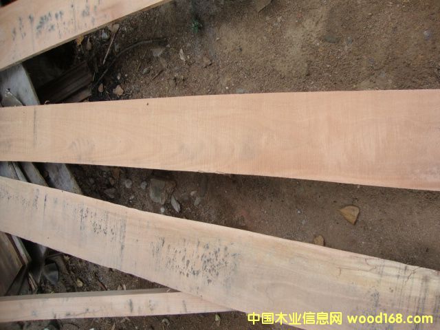 ��(y��u)�|�L�l�ٹ��