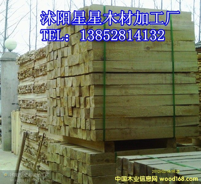 [��] ľ�� ľ�� ľ��