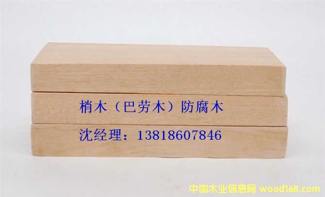 ��ľ����ľ