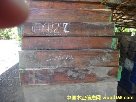 �������΢��ľ��