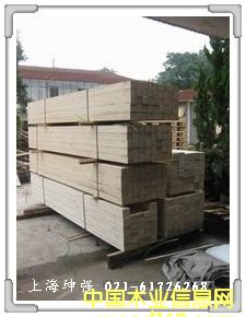 ���ڌ���ľ����Ԕ��(x��)��B