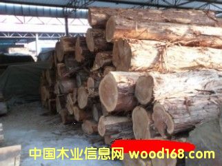 ���ľ��Ԕ��(x��)��B