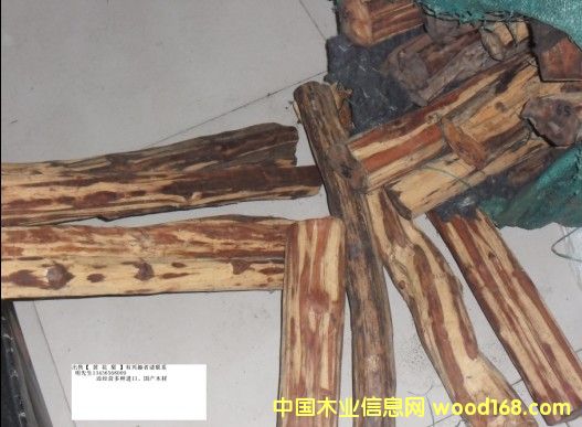 �S�����Ԕ��(x��)��B