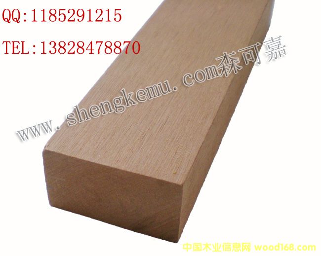 [��] ��(g��)���ɫ���x�V�|ɭ�ɼ����B(t��i)ľ��ľ��ľ�G��ľ