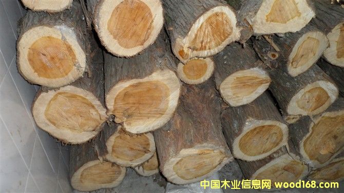 ��ľԭľ��Ԕ��(x��)��B