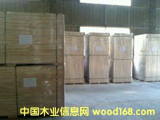 杉木集成材的詳細(xì)介紹