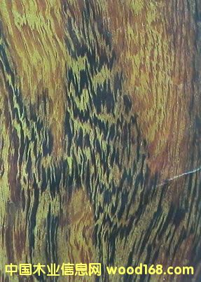 �u��ľ���u��С�u�ᾒ���u��ľ-�M(j��n)�ڈ��P(gu��n)������Ԕ��(x��)��B