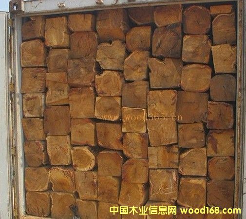 �����S���棨�����棩�S�Ҹ��M(j��n)�ڈ��P(gu��n)������Ԕ��(x��)��B