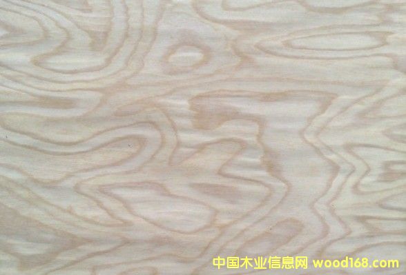 ��˨����TS_4��Ԕ����B