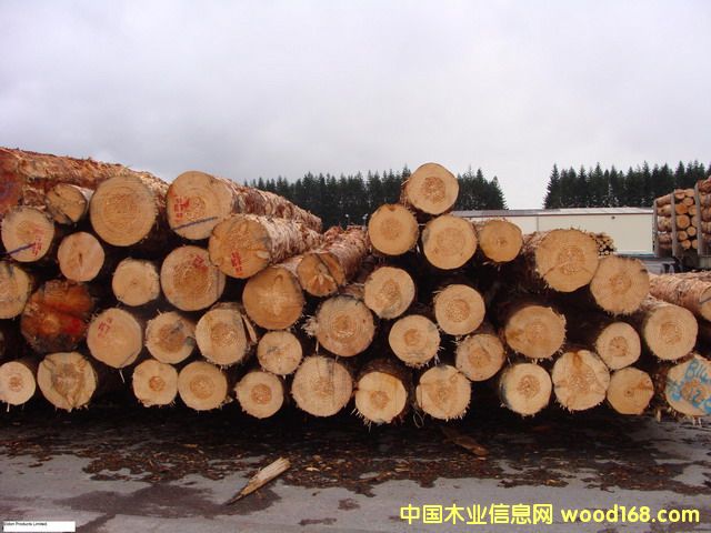 �����mݗ����ԭľ��Ԕ����B