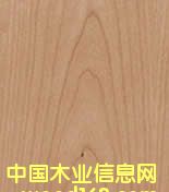 ����ɽ�y��Ԕ��(x��)��B