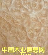 ɽ��������Ԕ��(x��)��B