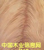 �һ�о��辵�Ԕ��(x��)��B