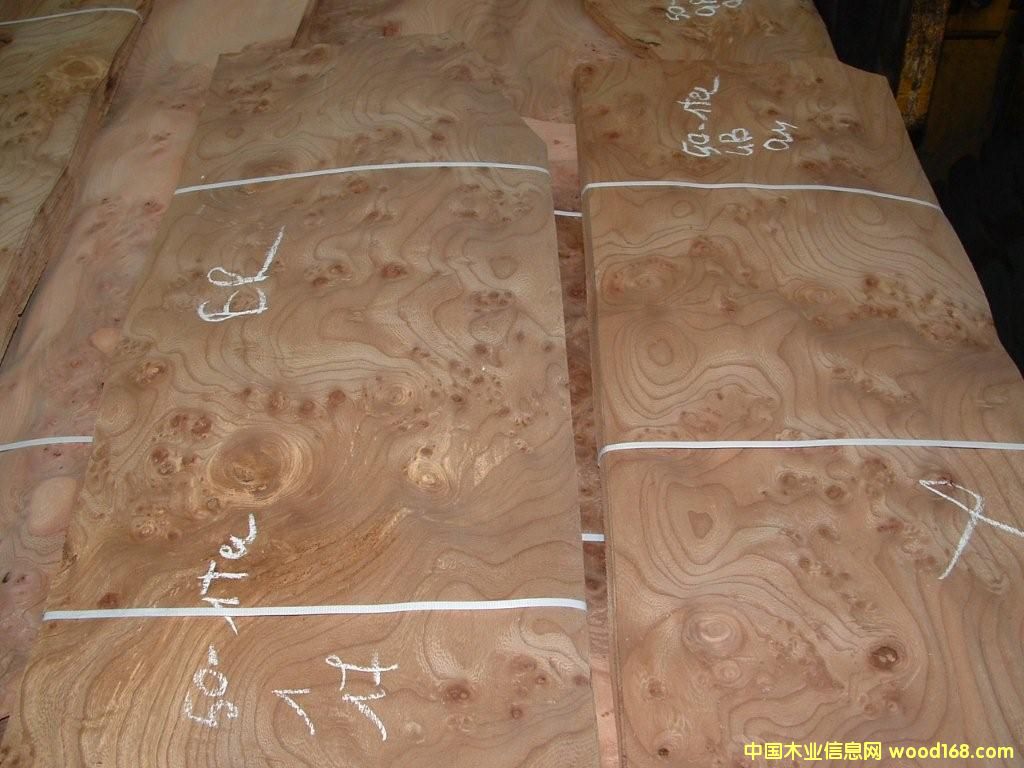 ��ľ�����Ԕ��(x��)��B