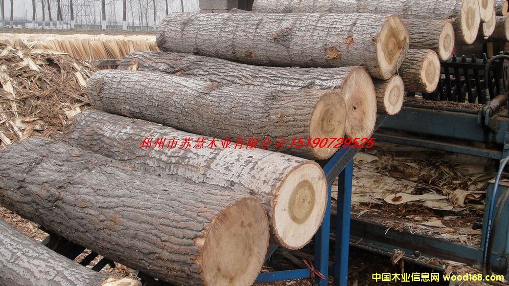 FSC��ľԭľ��Ԕ��(x��)��B