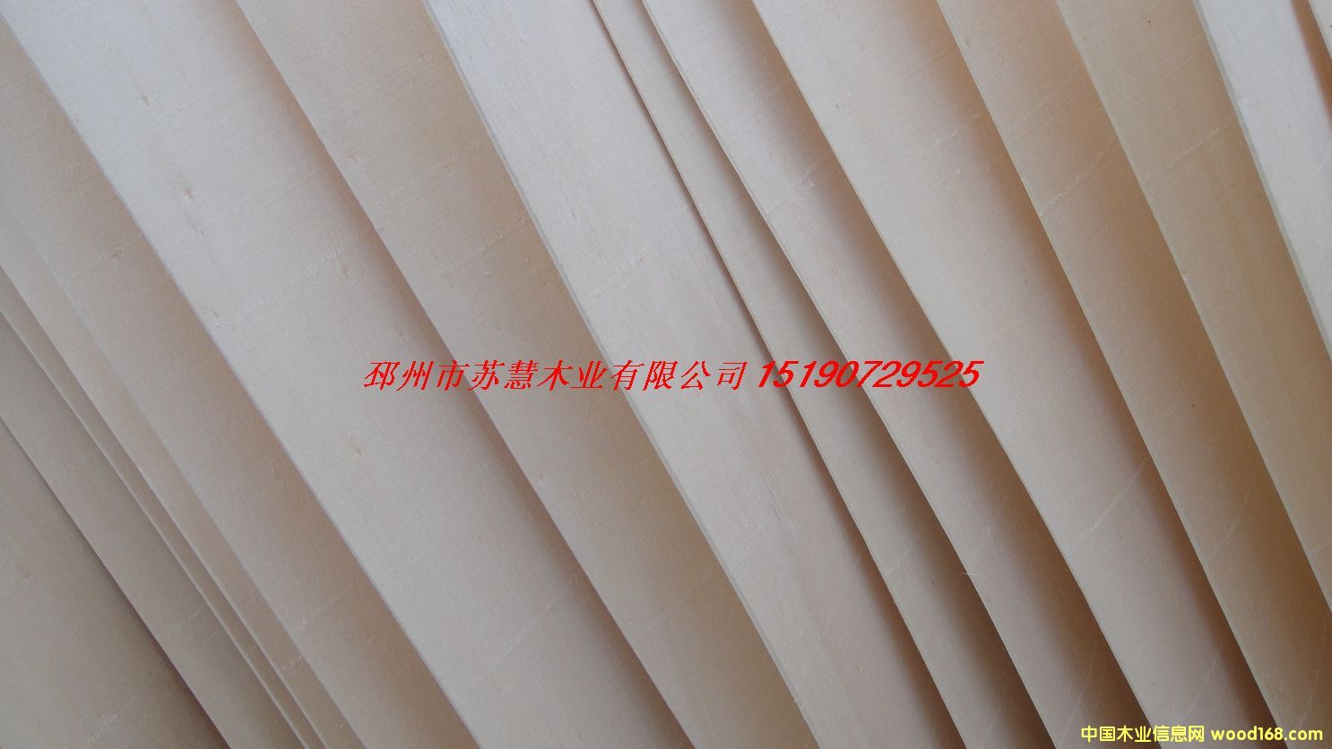 FSC��ľо���Ԕ��(x��)��B