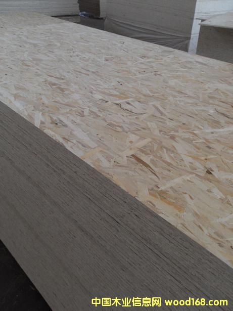 �����W�������zosb�����ٻ���W�ɰ�