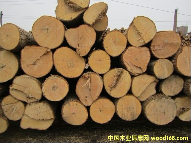 �ľ��Ԕ��(x��)��B