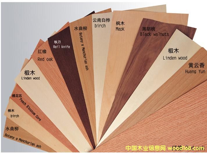 ���l(f��)���NľƤ��߅�l��Ԕ��(x��)��B