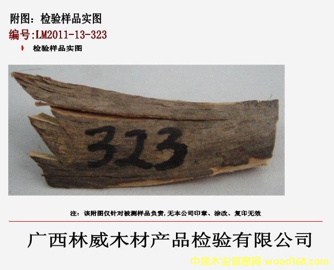 �z򞌍�D��Ԕ��(x��)��B