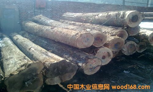 ��ľ��Ԕ��(x��)��B