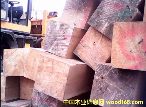 �M(j��n)�ڼt�ɴ󷽵�Ԕ��(x��)��B