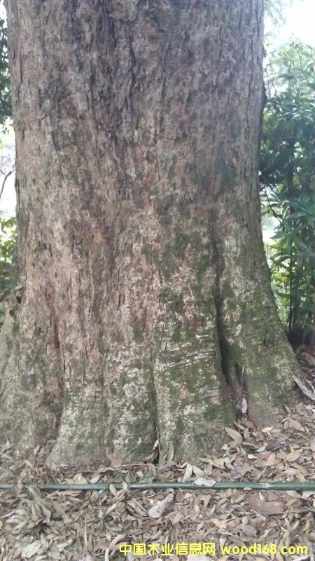 ���ľ��Ԕ��(x��)��B