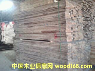 ���_˹�M(j��n)�ں��������ľ���ľ��