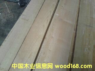 ���������ľ��� 