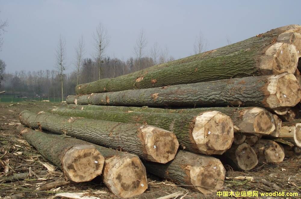 �W�ޗ�ľ��Ԕ��(x��)��B