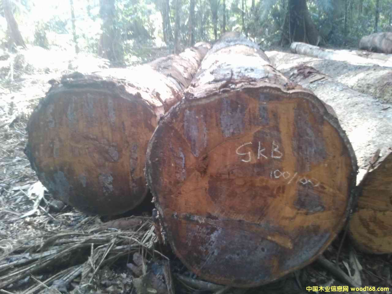 ��̩����Ԕ��(x��)��B