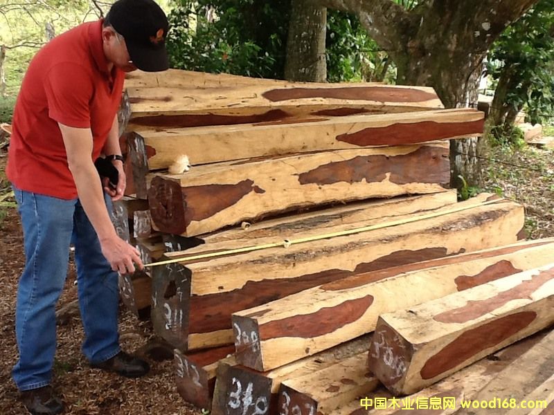 ΢���S̴��Ԕ��(x��)��B