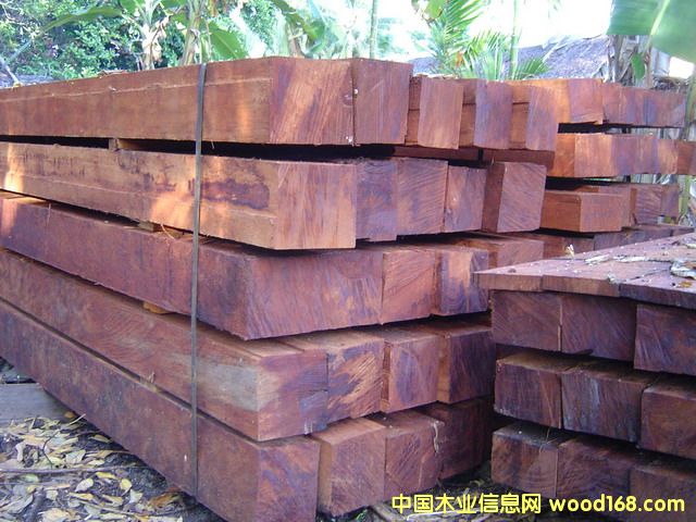 쳝��һ�о��ĵ�Ԕ����B