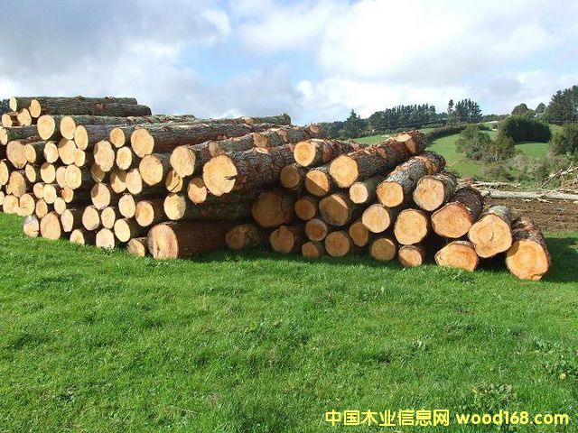 �����mݗ����ԭľ��Ԕ����B