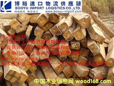 ɳ����/�tӰľ��Ԕ����B