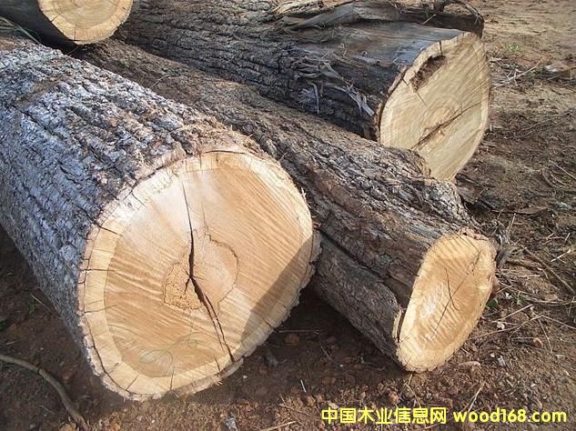 �M�������mݗ����/�ڂ���/ˮɼ/���~��ԭľ�M�ڈ��P��Ԕ����B